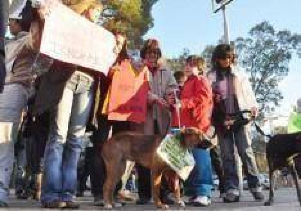 Marcharon en contra de la emergencia sanitaria