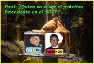 El Pro comenz� la campa�a
