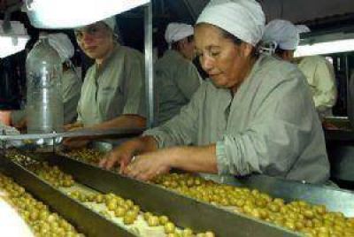 Lanzan la ruta gastron�mica del olivo con 38 restaurantes adheridos