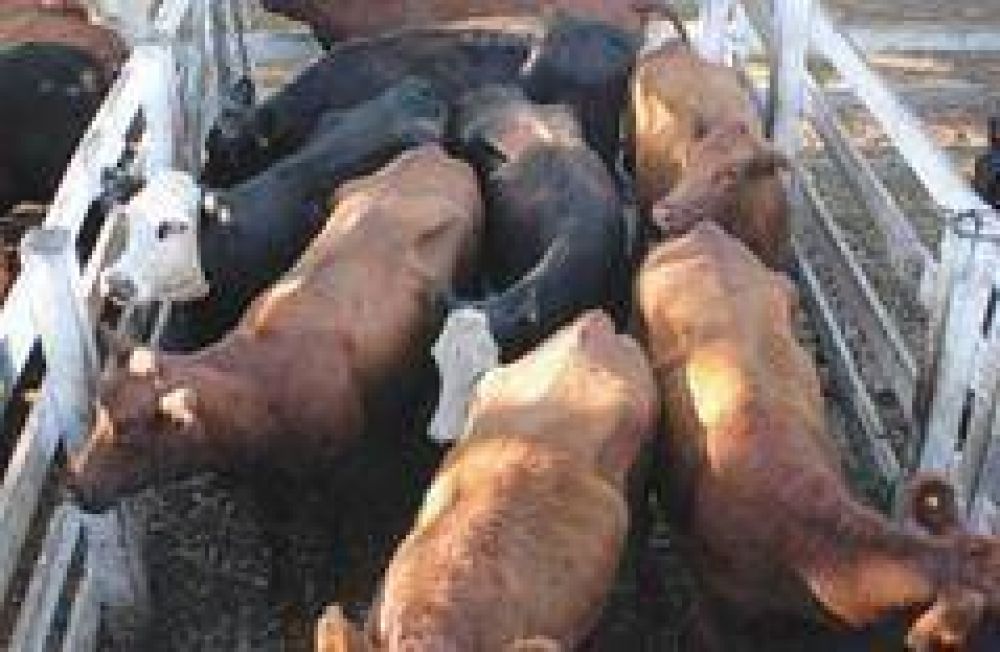  Obreros de la carne bloquear�n mercado de Liniers desde el lunes  