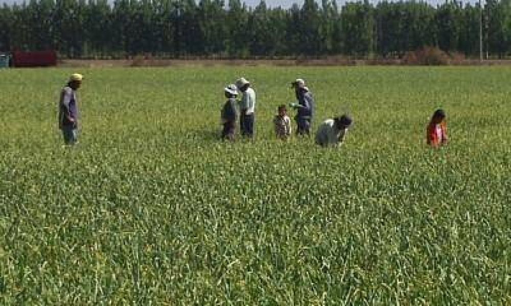 Advierten sobre casos de trata de personas en el Valle de Uco