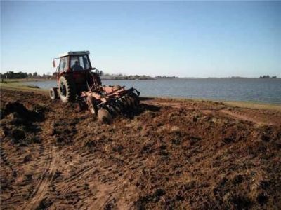 Se realizan varias tareas en la Laguna de G�mez