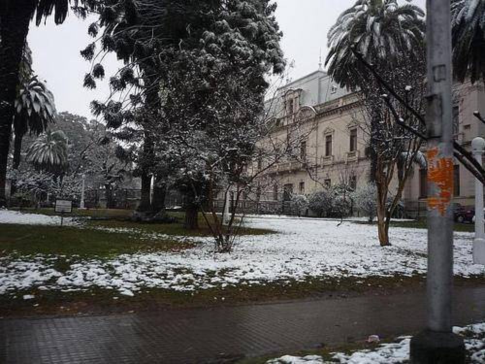 Grandes prdidas en el sector frutihortcola de Jujuy por las nevadas