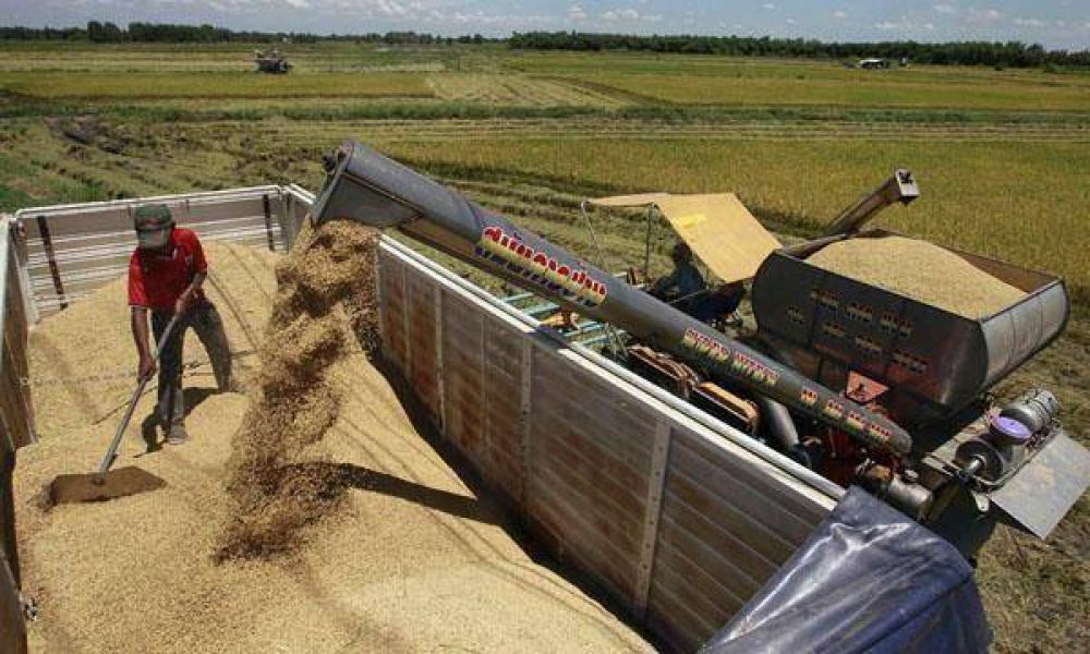  La exportaci�n de aceite de soja aument� 65,3% en junio, pese al conflicto comercial con China  