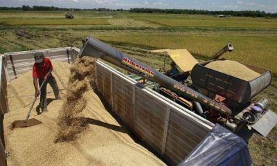  La exportaci�n de aceite de soja aument� 65,3% en junio, pese al conflicto comercial con China  