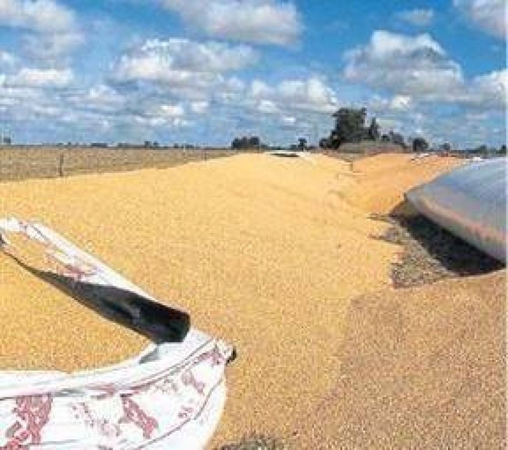 MEDIOS NACIONALES SE HACEN ECO DE LOS ATAQUES A SILOS BOLSAS
