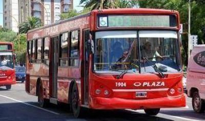 Plaza incorpor� cinco unidades a su flota