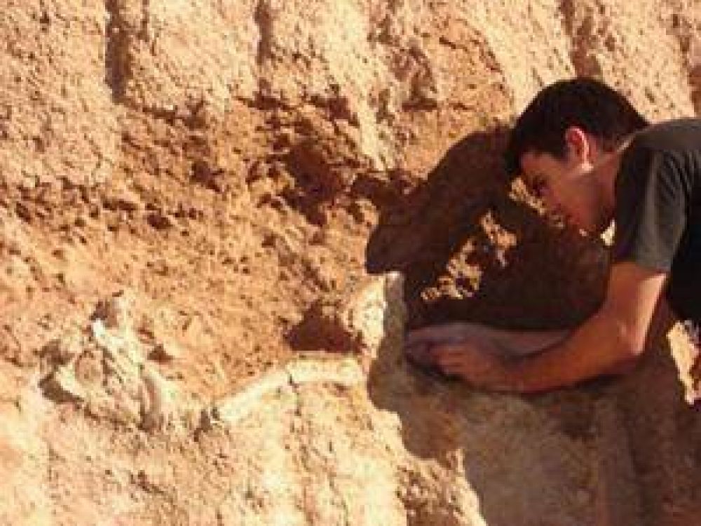 Se realiz� con �xito la primera campa�a paleontol�gica en La Matanza
