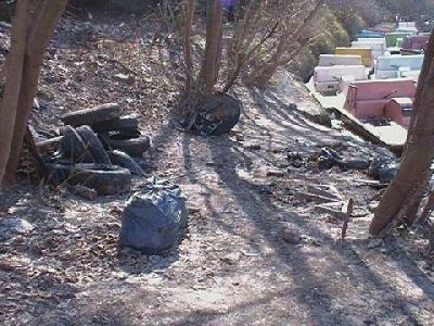 ENTRE EL PUENTE DR. MU�IZ Y MITRE Otra jornada de limpieza en el r�o Luj�n