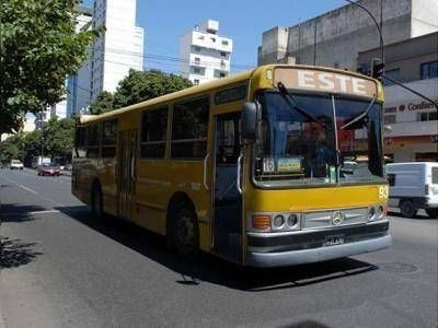 Tomarse un bondi en La Plata es "un verdadero calvario"
