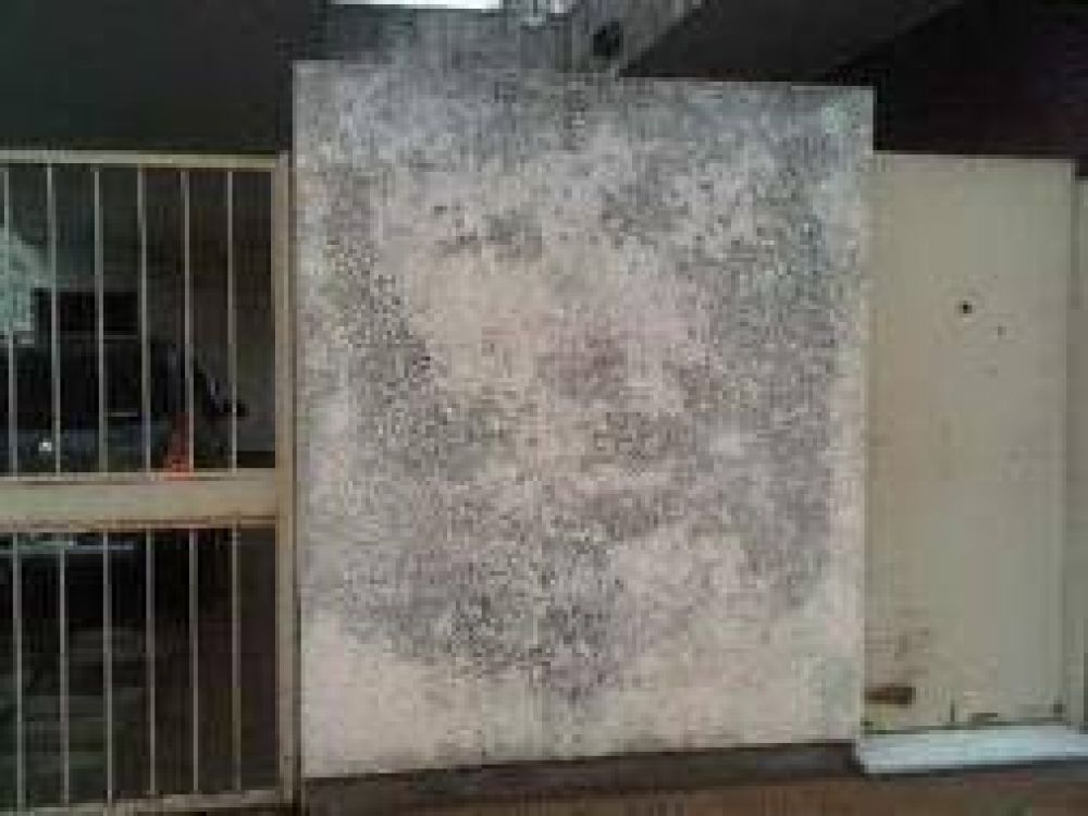 Apareci� una imagen de Cristo en el Banco Naci�n de Roque P�rez