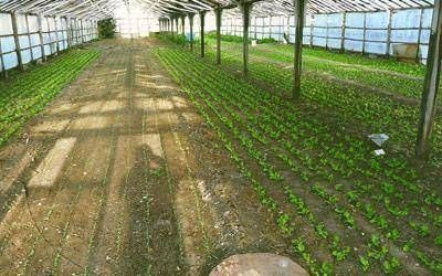 Apuntan a un trabajo mancomunado entre los productores de toda la regi�n