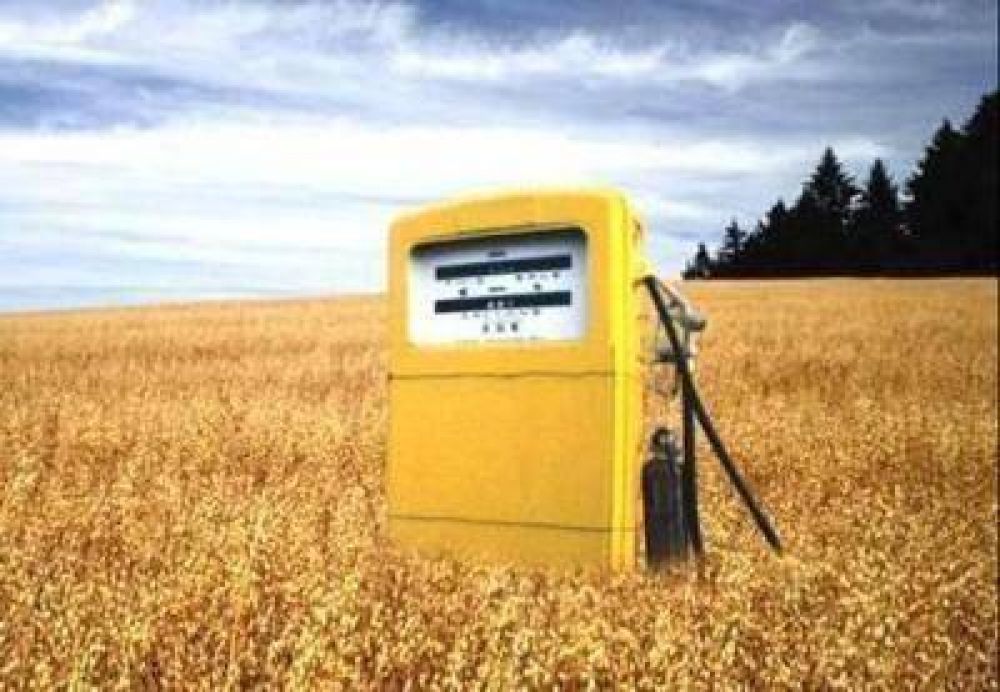 Palma: el Concejo tiene la palabra en la construcci�n de la planta de biocombustibles