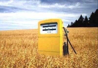 Palma: el Concejo tiene la palabra en la construcci�n de la planta de biocombustibles