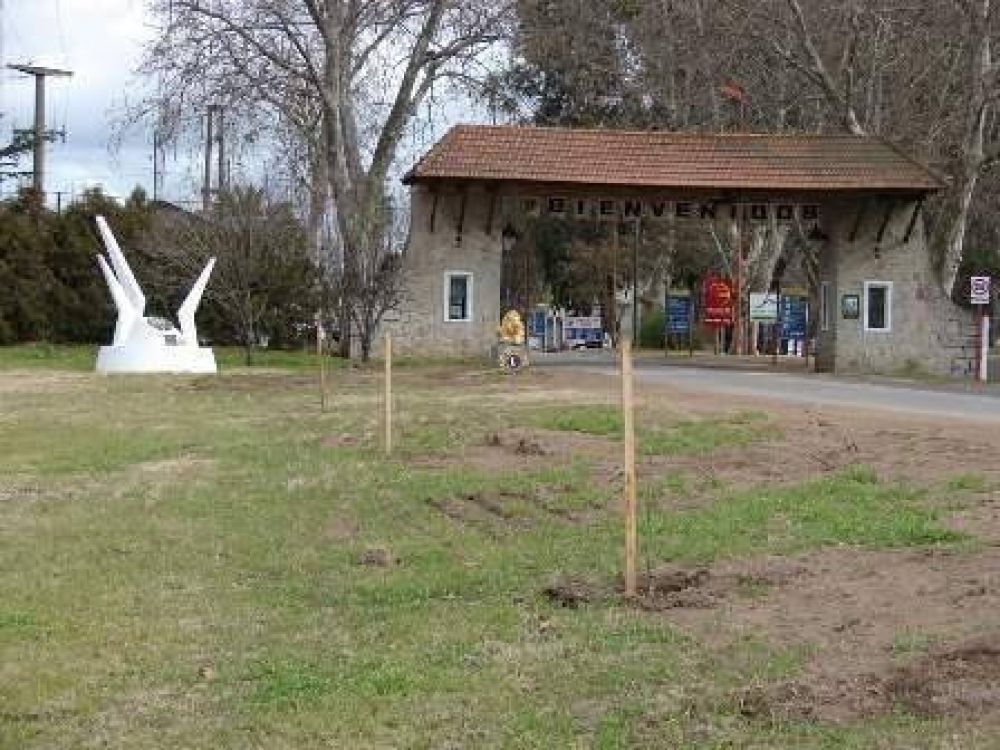 Plantan los �rboles entregados al Municipio de Jun�n  