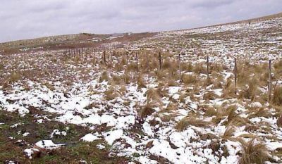 La nieve cubri� el Valle de Punilla y oblig� a cerrar el camino de las Altas Cumbres