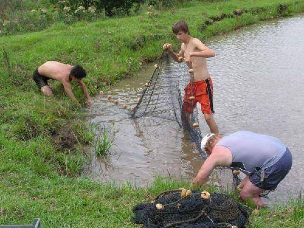 La actividad pisc�cola de la provincia esta muy bien posicionada