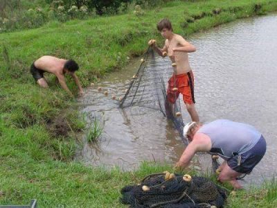La actividad pisc�cola de la provincia esta muy bien posicionada