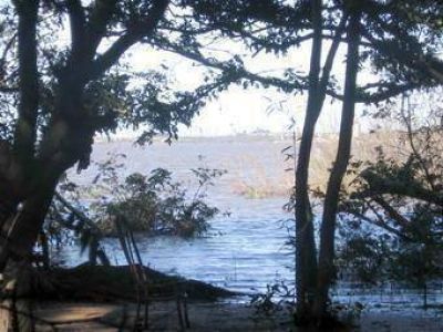 Crear�n una reserva natural protegida en la Isla �Banco de la In�s� 