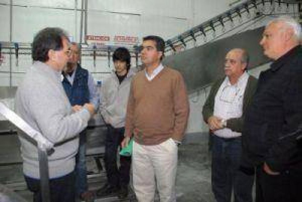 Complejo av�cola-productivo podr�a instalarse en el Chaco 
