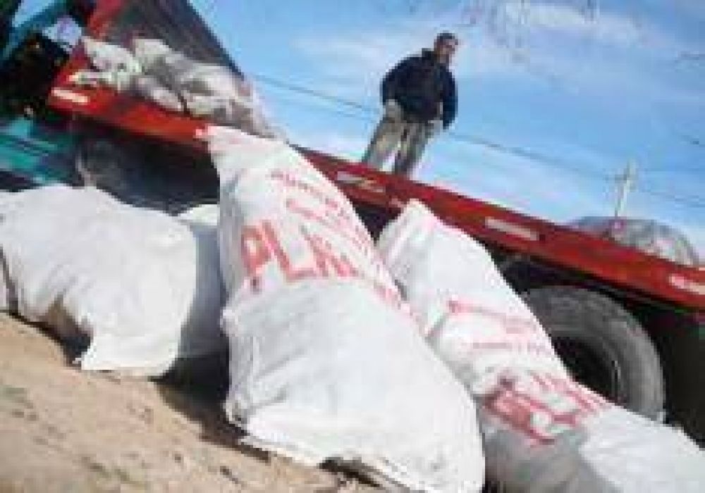 Empieza a repartirse otra vez le�a del Plan Calor