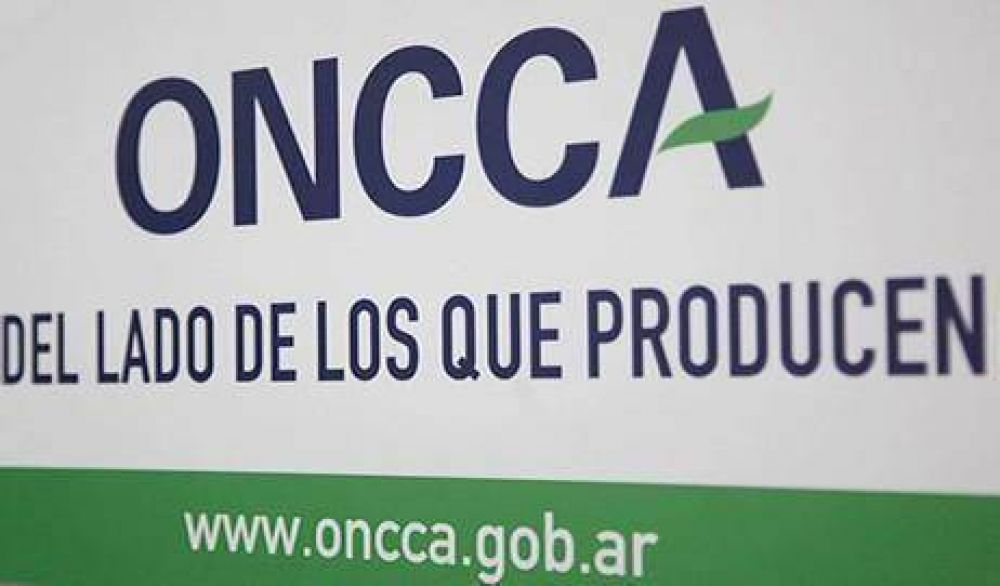 Una jubilada de Quilmes y su hijo, involucrados en esc�ndalo de subsidios truchos de la ONCCA