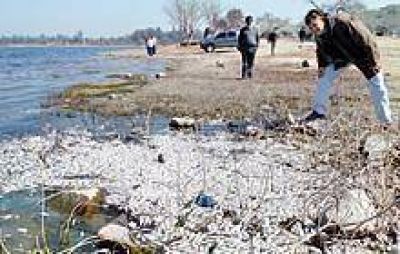 �Se debe aplicar la ley con rigurosidad para que dejen de contaminar el lago� 