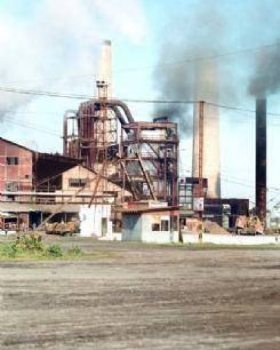 Solicitar�n audiencia con el secretario de Medio Ambiente