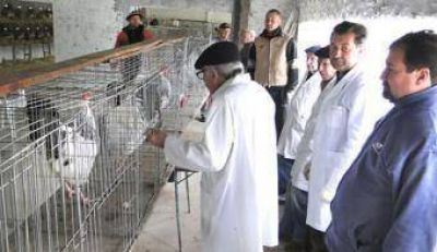 La Expo Jun�n 2010 comienza en el predio ferial cuya inauguraci�n ser� el s�bado