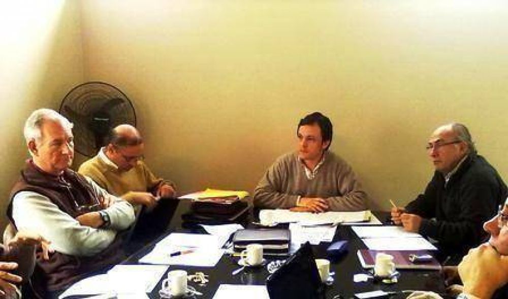 INSTITUCIONES ANALIZAN ARBOLADO PUBLICO