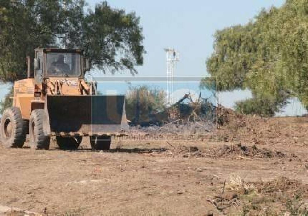 El municipio de Paran� podr�a ser condenado por tala de �rboles