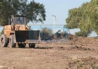 El municipio de Paran� podr�a ser condenado por tala de �rboles