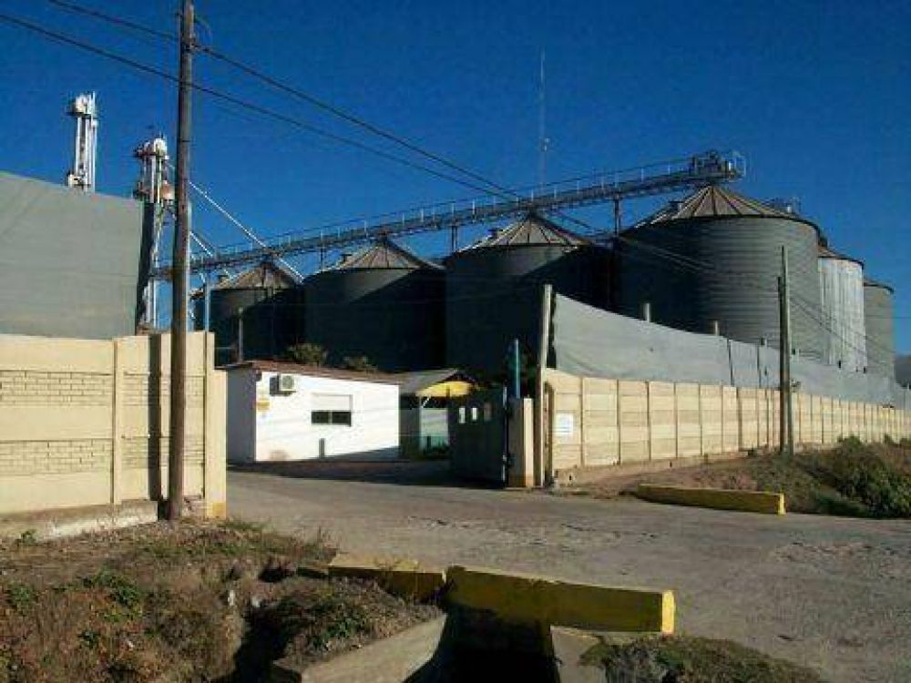 Robaron cables de la Cooperativa Agr�cola