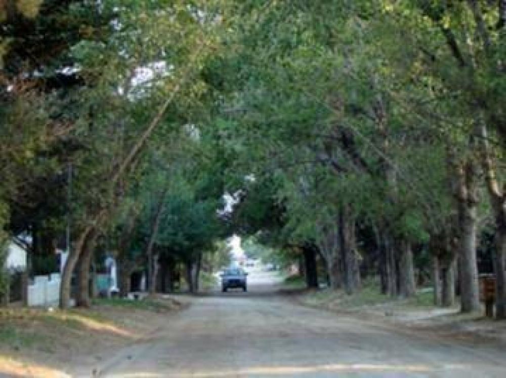 Los fomentistas de Dunamar piden que se cuide la forestaci�n
