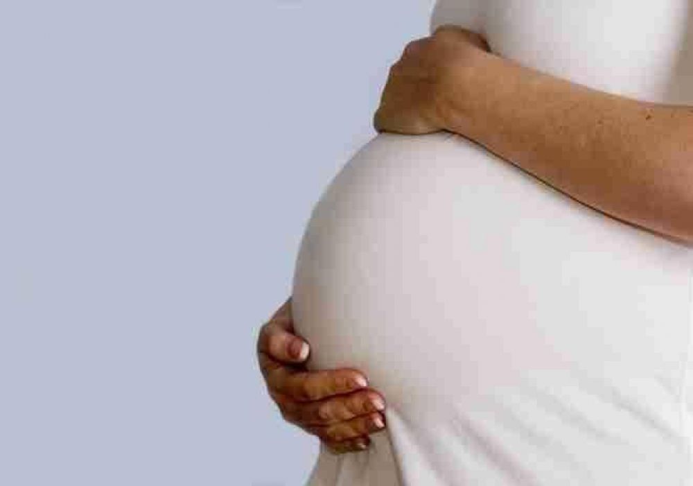 Programa de salud para embarazadas y bebes