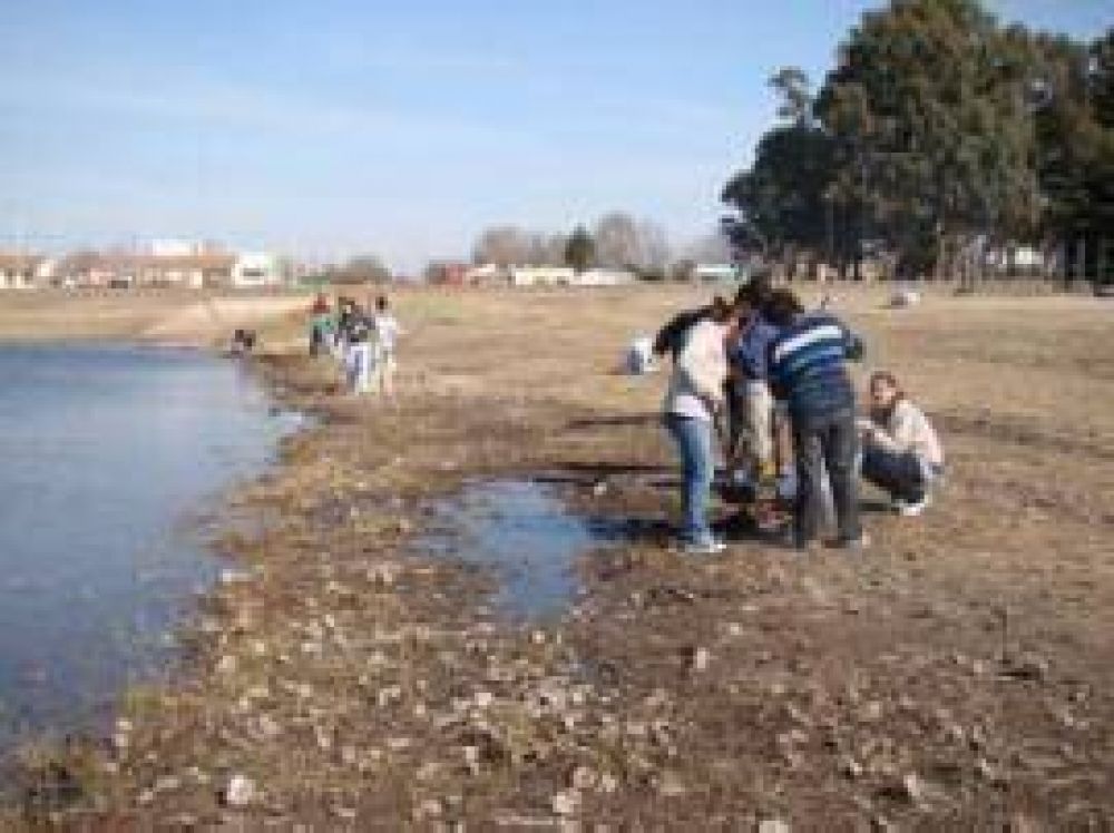 Salliquel� Alumnos colaboran con el municipio en la limpieza del Paseo del Lago
