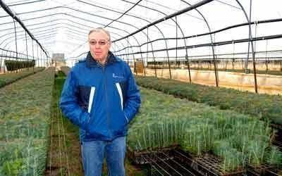  Habr� una jornada de producci�n acelerada de plantines
