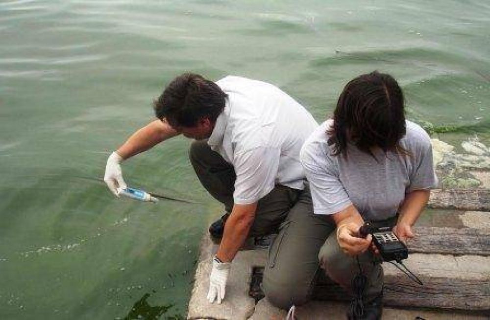Peces muertos: tras el informe oficial del OPDS se realiza en Tigre una nueva medici�n 