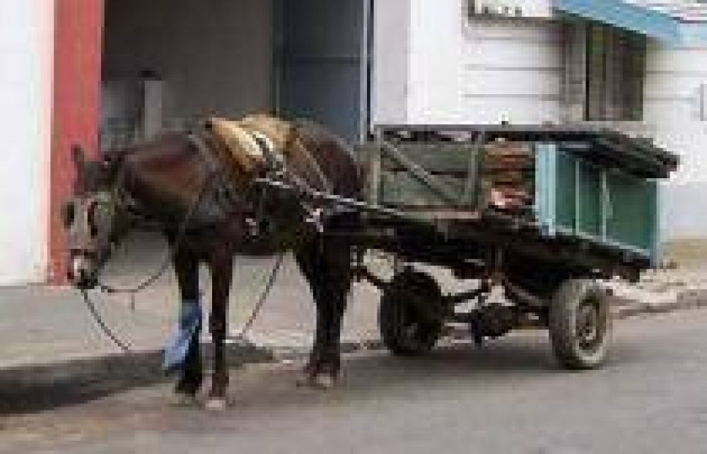 Lleva confiscados 26 unidades La Comuna comenz� a retirar carros y caballos del centro de Quilmes