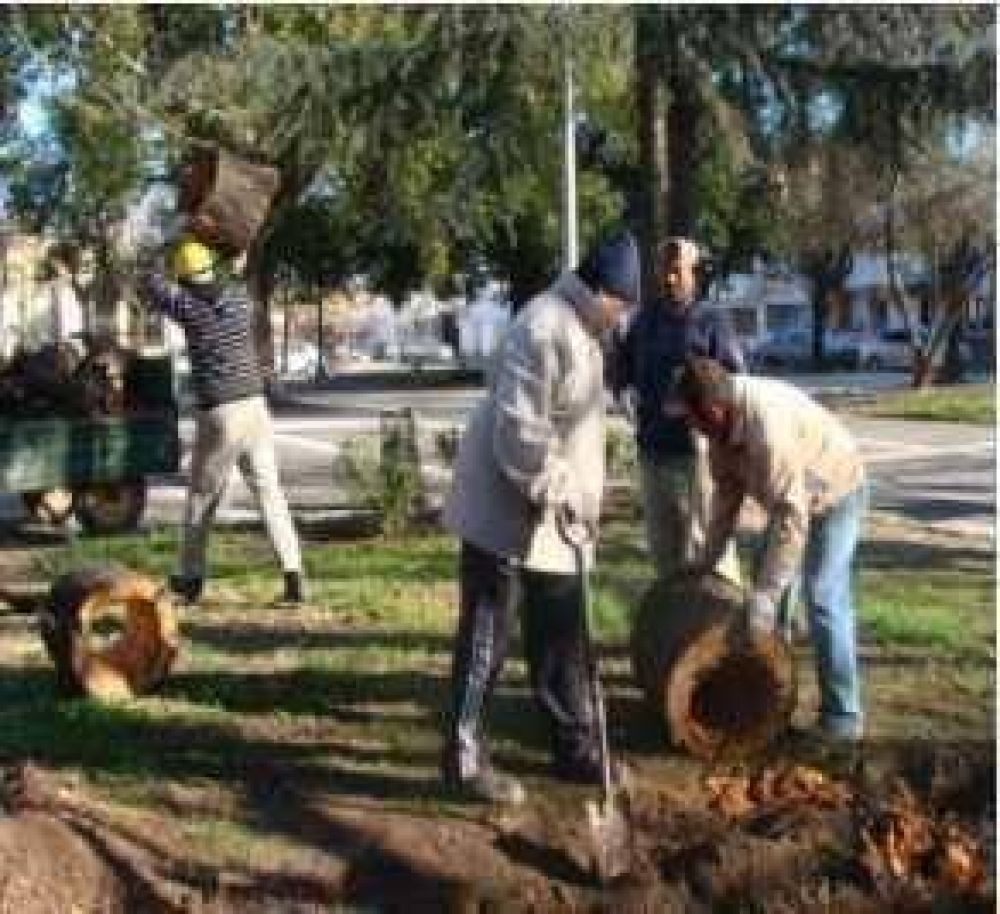 Extracci�n y reemplazo de tilos