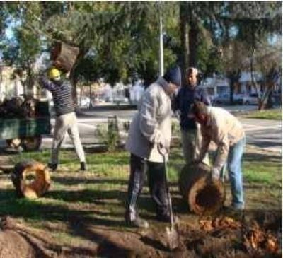 Extracci�n y reemplazo de tilos