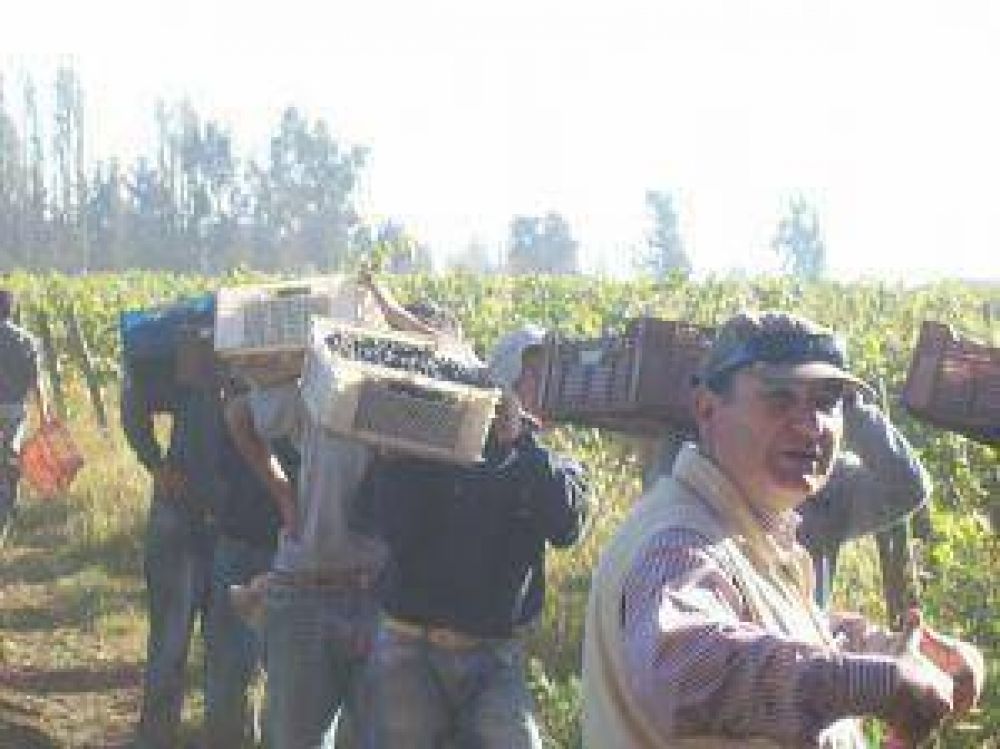 El trabajo en negro sigue muy elevado en la argicultura 