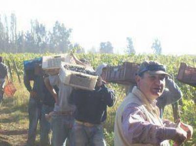 El trabajo en negro sigue muy elevado en la argicultura 