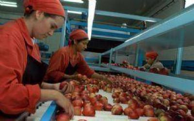 Mendoza busca posicionar al durazno en el mercado chino
