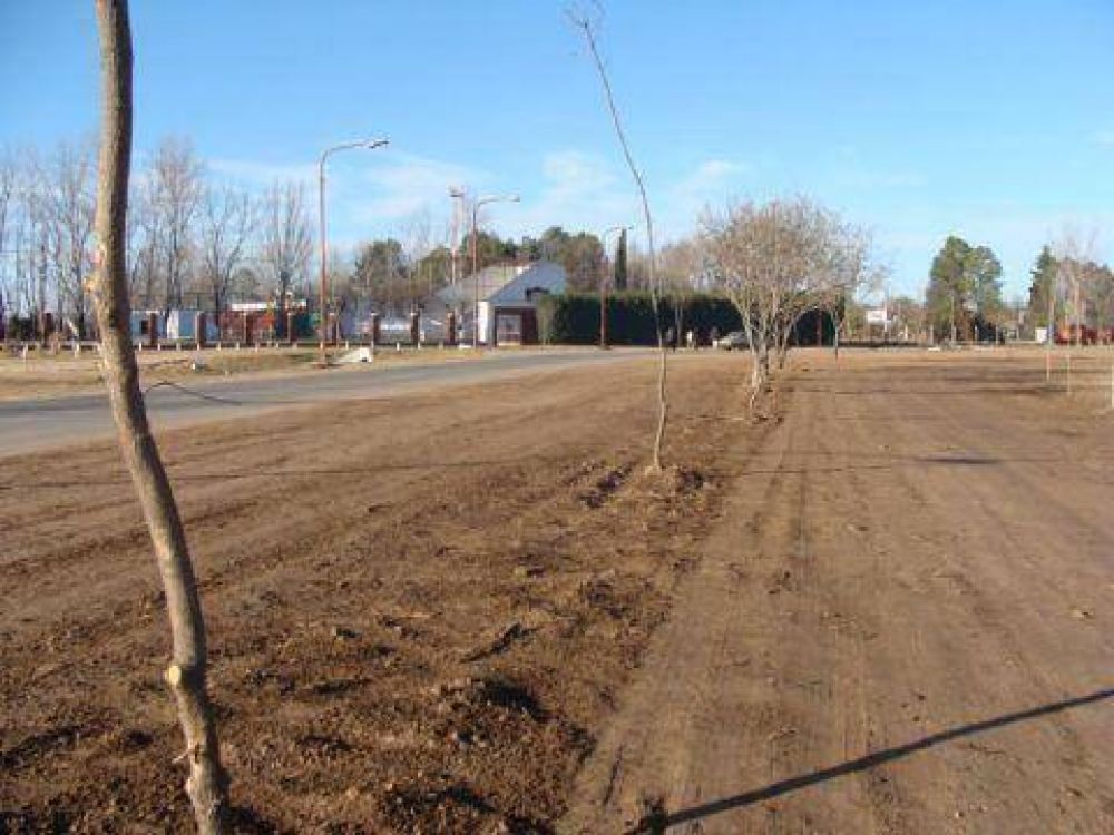  Servicios Urbanos Trabajos de entoscado en Barrio Tri�ngulo