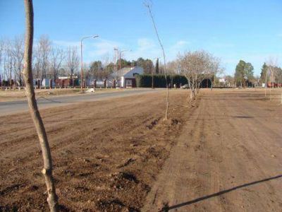  Servicios Urbanos Trabajos de entoscado en Barrio Tri�ngulo