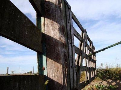 El 8 de setiembre se inaugurar� la 72da. Exposici�n Rural
