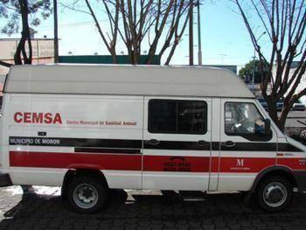 Quir�fano m�vil para mascotas en los barrios