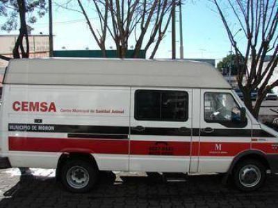 Quir�fano m�vil para mascotas en los barrios