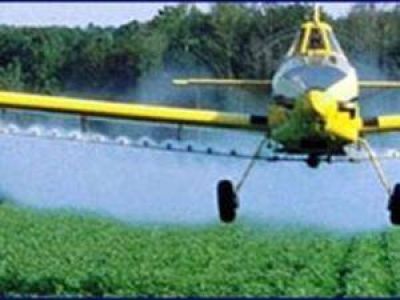Informe especial: Glifosato